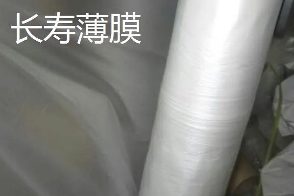 有哪些农用塑料薄膜，常见的有轻薄型薄膜、多用途薄膜等