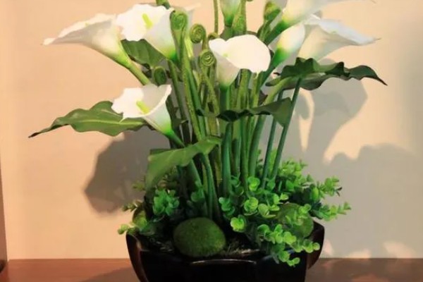 马蹄莲的养殖方法，平时每隔2-3天浇一次水