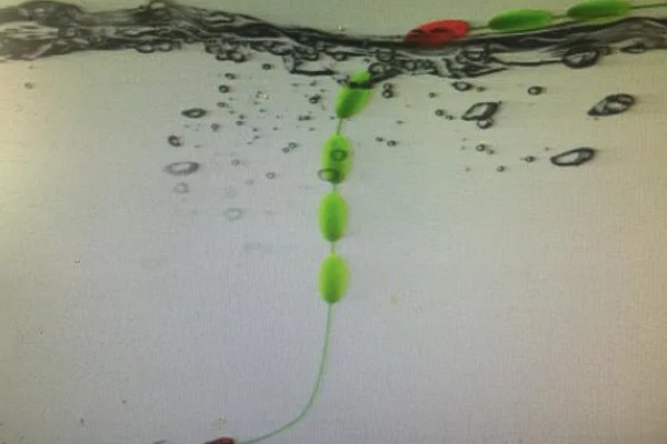 七星漂单钩通线如何调漂,可重铅找底