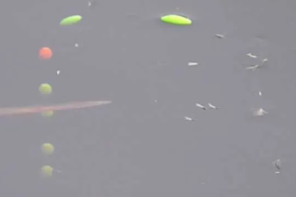 七星漂单钩通线如何调漂,可重铅找底