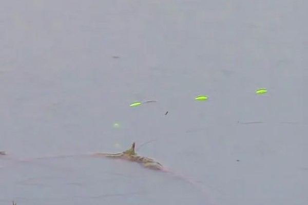 七星漂单钩通线如何调漂,可重铅找底