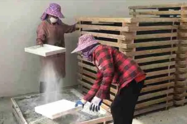 秋蚕怎么养殖,每隔12-15天养一批