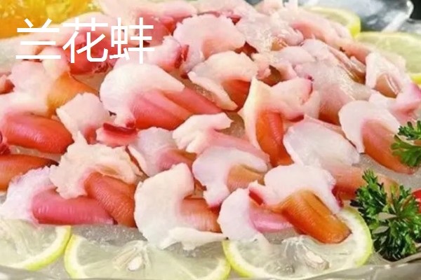 兰花蚌是什么，是种双壳贝类