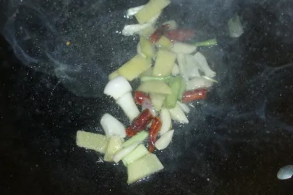 兰花蚌是什么，是种双壳贝类