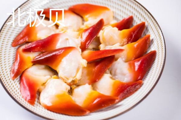 兰花蚌是什么，是种双壳贝类