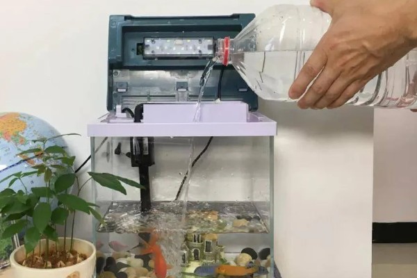 鱼尾巴有血丝用什么药，一般是不用药的