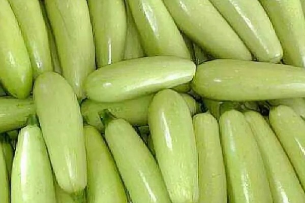 西葫芦与笋瓜有什么区别，外观、果梗、食用对象都不同