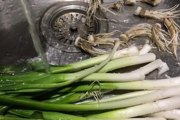 蒜苗的切法，从中间切断后放在一起切