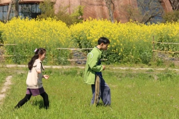 哪天是寒食节,清明节前1-2天