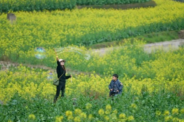 哪天是寒食节,清明节前1-2天