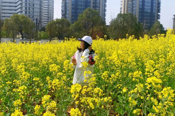 哪天是寒食节,清明节前1-2天