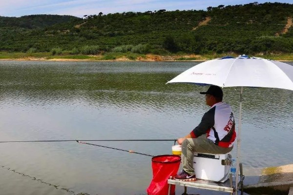 怎么在水库中钓鲫鱼，首选钓点是水草区