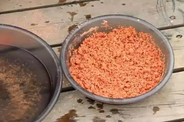 怎么在水库中钓鲫鱼，首选钓点是水草区