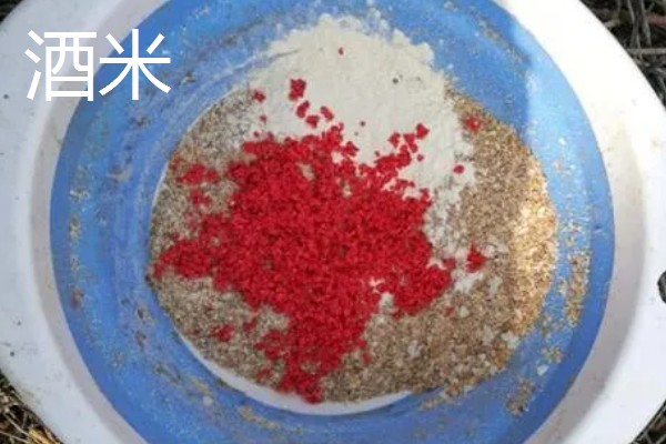 怎么在水库中钓鲫鱼，首选钓点是水草区