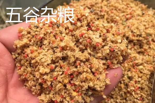 怎么在水库中钓鲫鱼，首选钓点是水草区