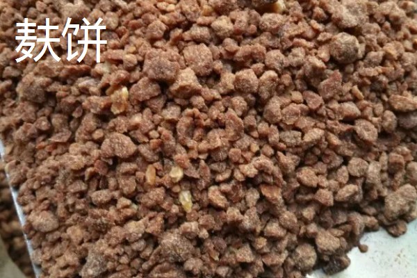 怎么在水库中钓鲫鱼，首选钓点是水草区