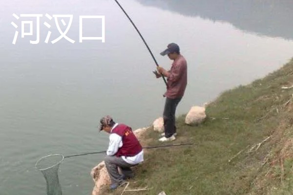 怎么在水库中钓鲫鱼，首选钓点是水草区