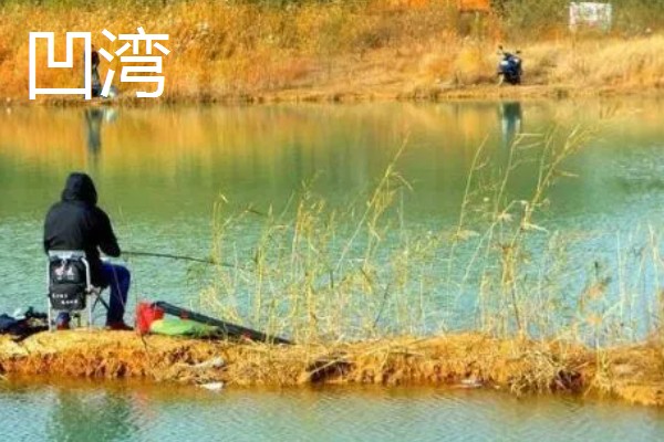 怎么在水库中钓鲫鱼，首选钓点是水草区