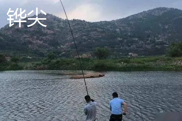 怎么在水库中钓鲫鱼，首选钓点是水草区