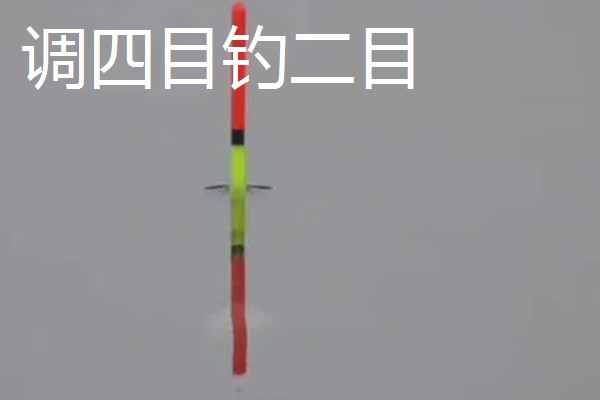 怎么在水库中钓鲫鱼，首选钓点是水草区