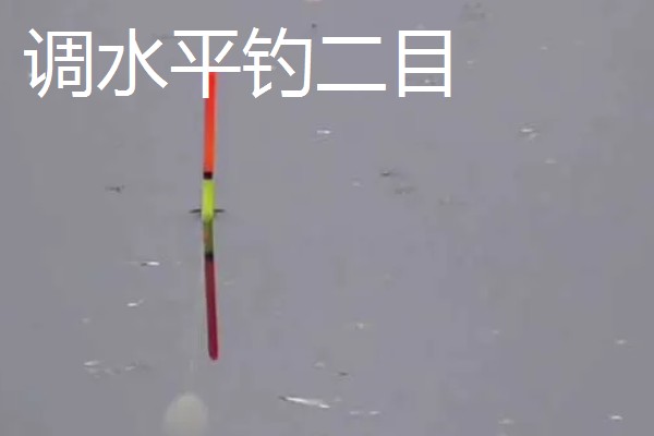 怎么在水库中钓鲫鱼，首选钓点是水草区