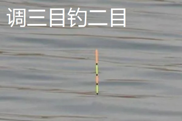 怎么在水库中钓鲫鱼，首选钓点是水草区