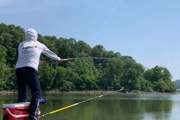 怎么在水库中钓鲫鱼，首选钓点是水草区
