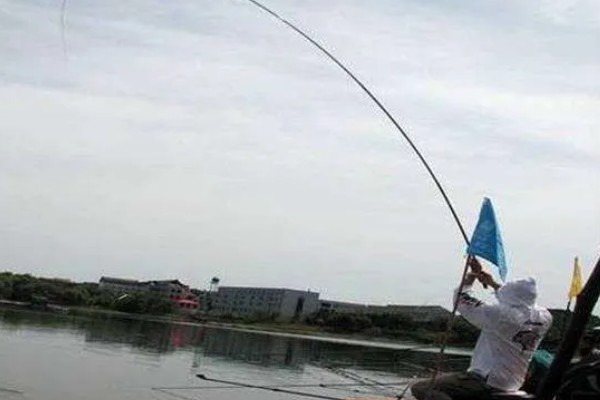 怎么在水库中钓鲫鱼，首选钓点是水草区