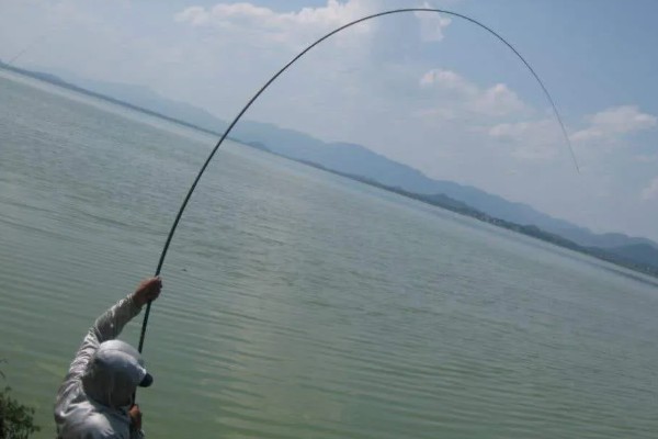 怎么在水库中钓鲫鱼，首选钓点是水草区