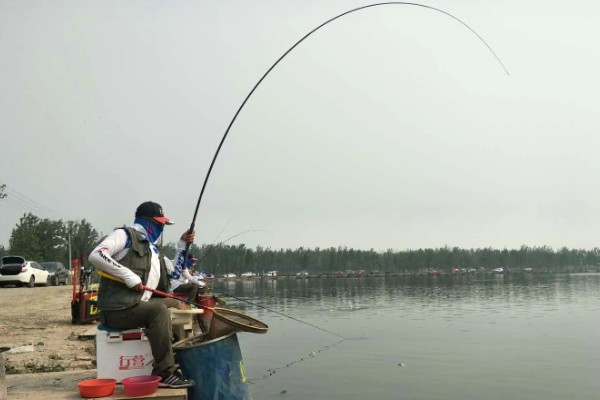 怎么在水库中钓鲫鱼，首选钓点是水草区