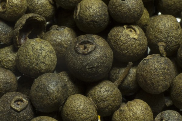 小柑胎是山橘吗，小柑胎不是山橘