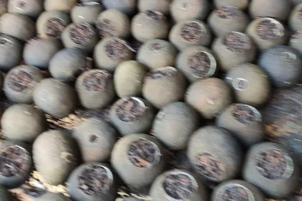 小柑胎是山橘吗，小柑胎不是山橘