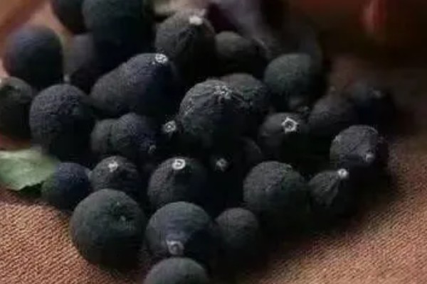 小柑胎是山橘吗，小柑胎不是山橘