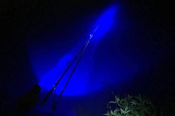 5月份夜钓钓深水还是浅水好,钓浅水容易钓到鱼