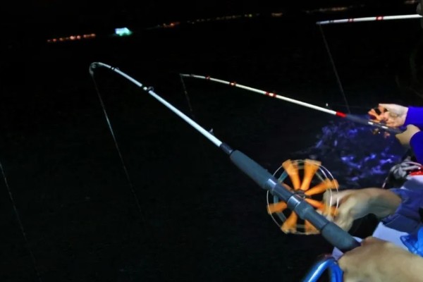 5月份夜钓钓深水还是浅水好,钓浅水容易钓到鱼