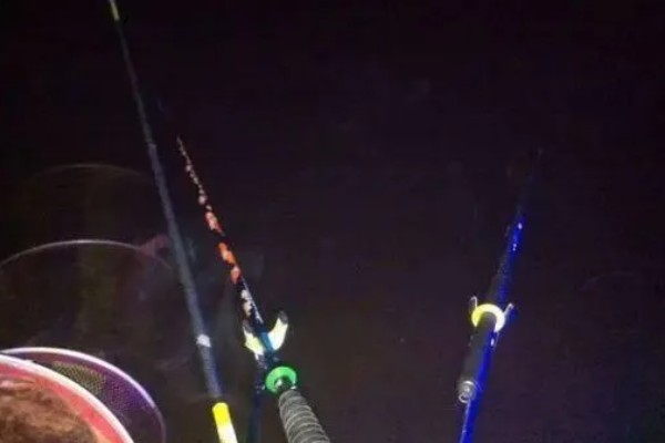 5月份夜钓钓深水还是浅水好,钓浅水容易钓到鱼