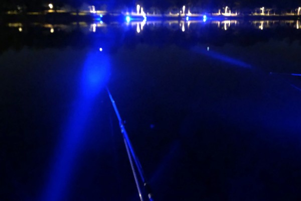 5月份夜钓钓深水还是浅水好,钓浅水容易钓到鱼