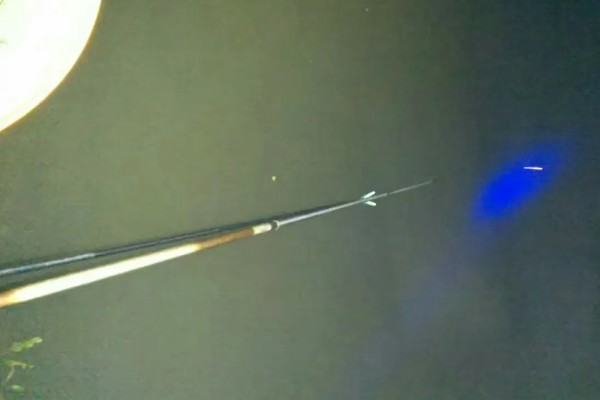 5月份夜钓钓深水还是浅水好,钓浅水容易钓到鱼