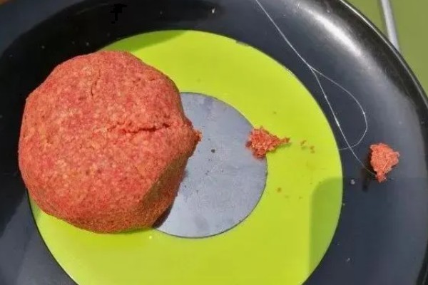 5月份夜钓钓深水还是浅水好,钓浅水容易钓到鱼