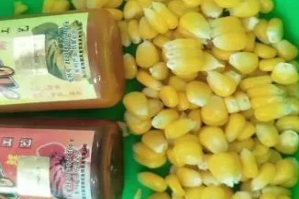 5月份夜钓钓深水还是浅水好,钓浅水容易钓到鱼