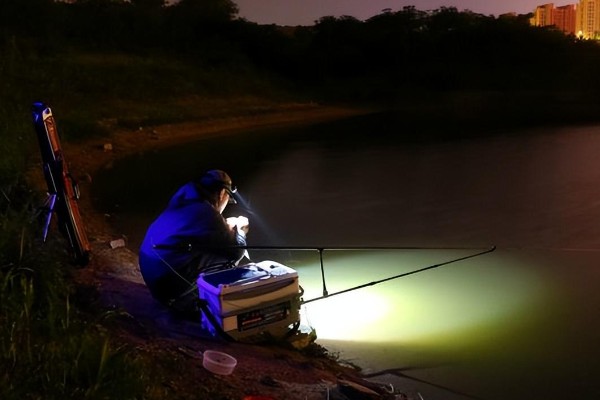 5月份夜钓钓深水还是浅水好,钓浅水容易钓到鱼