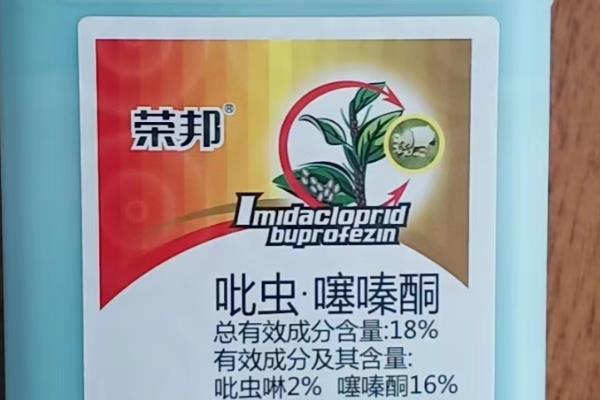 噻嗪酮治什么虫，可有效防治水稻上的大叶蝉科、飞虱科等