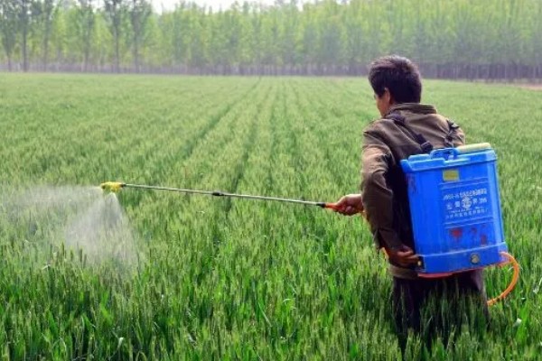 吡虫啉治蓟马怎么使用，施药的间隔时间取决于使用对象