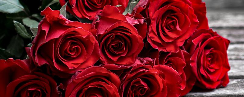 玫瑰的花语大全，不同颜色的花语不同