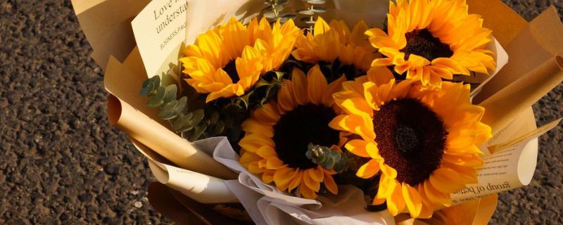 七朵向日葵有什么花语，代表沉默的爱、太阳光辉、忠诚的爱