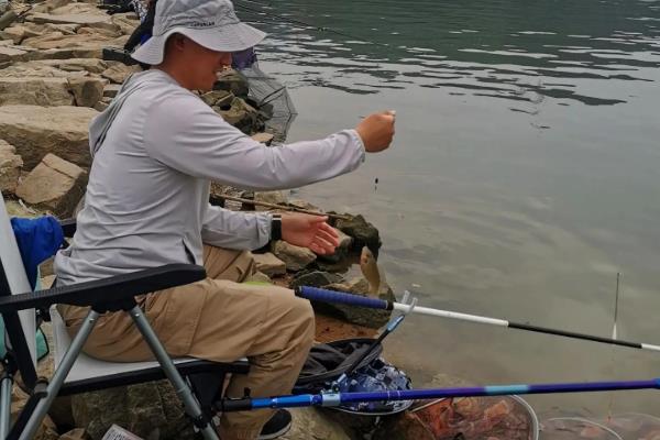 野战蓝鲫的简介,是一种香腥型饵料