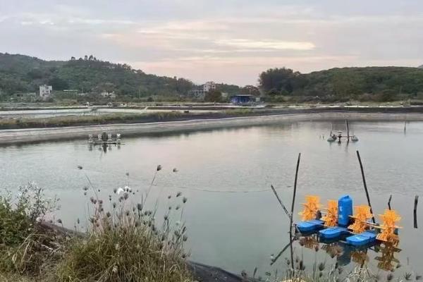 养殖小龙虾的注意事项,把酸碱值控制在7.2-8.5