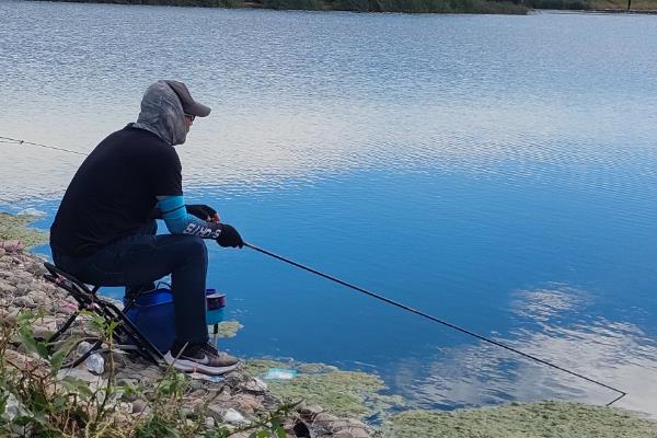 钓大鲫鱼用什么饵料好，建议选择素饵