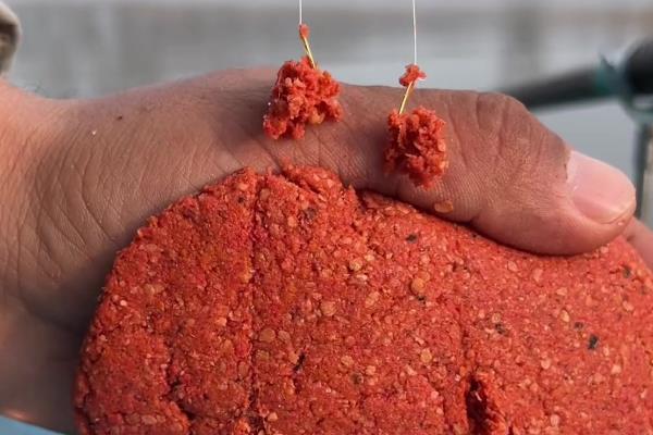 钓大鲫鱼用什么饵料好，建议选择素饵