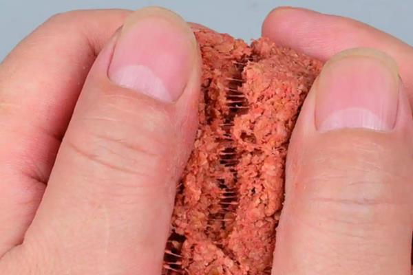 钓大鲫鱼用什么饵料好，建议选择素饵